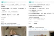 问事摇卦闲鱼：LABUBU搜索量环比上涨1000%，供不应求下现租赁新形式