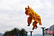 问事摇卦（文化中国行）壮乡狮舞闯南洋：脚踏“云桩” 饮誉海内外