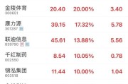 问事摇卦“苏超”爆火！300651，“20cm”涨停